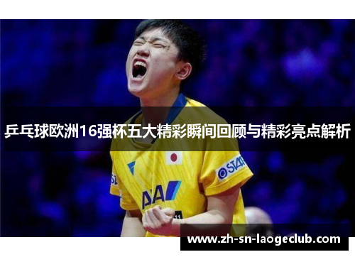 乒乓球欧洲16强杯五大精彩瞬间回顾与精彩亮点解析