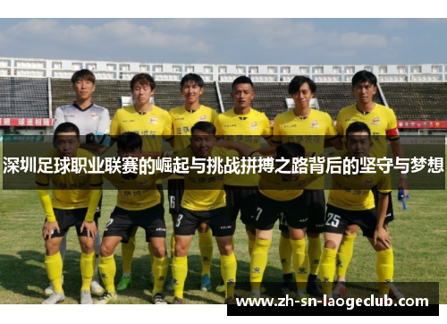 深圳足球职业联赛的崛起与挑战拼搏之路背后的坚守与梦想