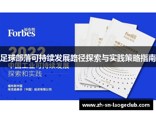 足球部落可持续发展路径探索与实践策略指南