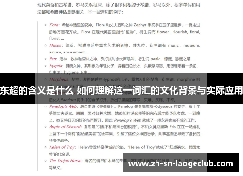 东超的含义是什么 如何理解这一词汇的文化背景与实际应用 东超的含义是什么 如何理解这一词汇的文化背景与实际应用