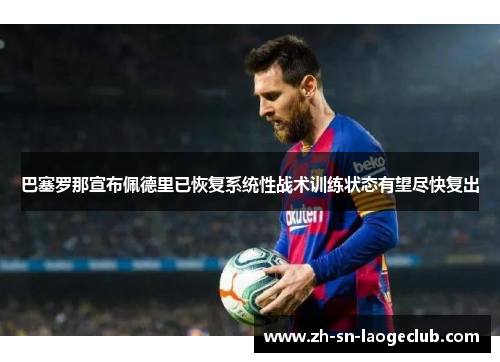 巴塞罗那宣布佩德里已恢复系统性战术训练状态有望尽快复出 巴塞罗那宣布佩德里已恢复系统性战术训练状态有望尽快复出
