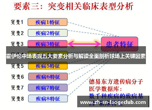 霍伊伦中场表现五大要素分析与解读全面剖析球场上关键因素 霍伊伦中场表现五大要素分析与解读全面剖析球场上关键因素