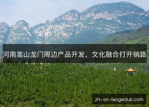 河南嵩山龙门周边产品开发，文化融合打开销路